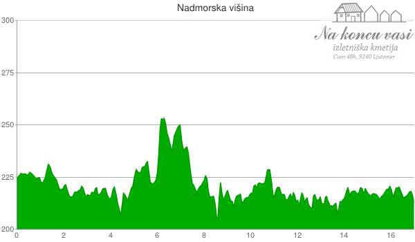 Višinska mapa