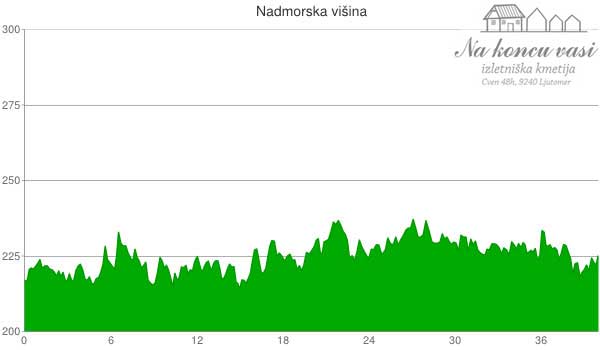 Višinska mapa