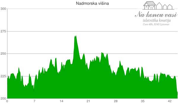 Višinska mapa