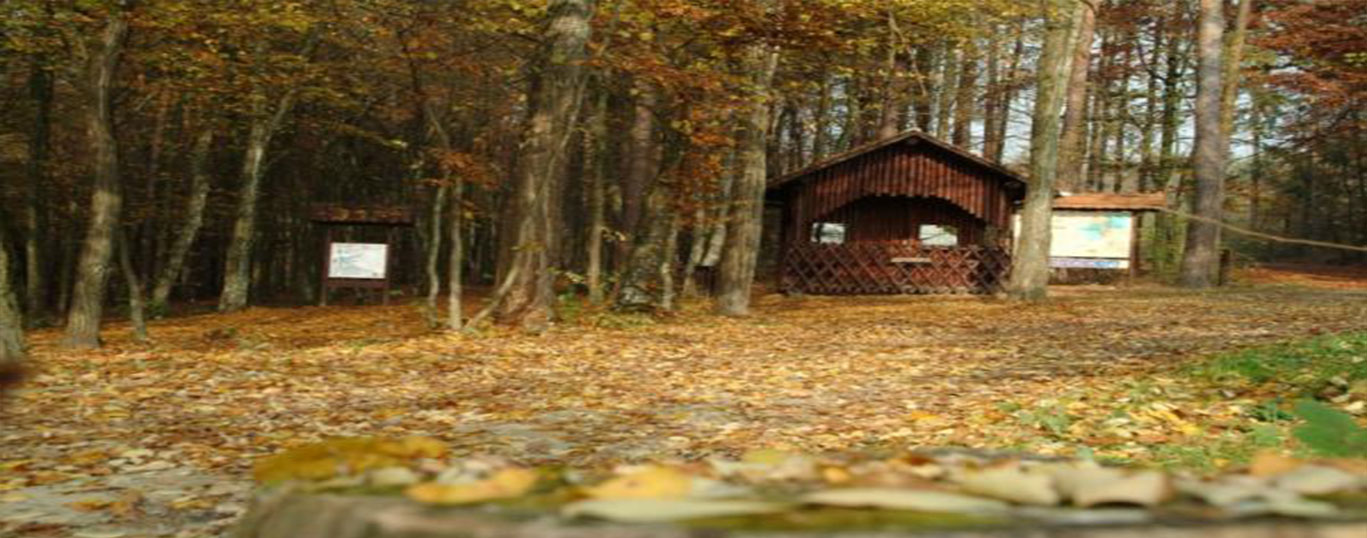 Turistična gozdna učna pot Fuks graba