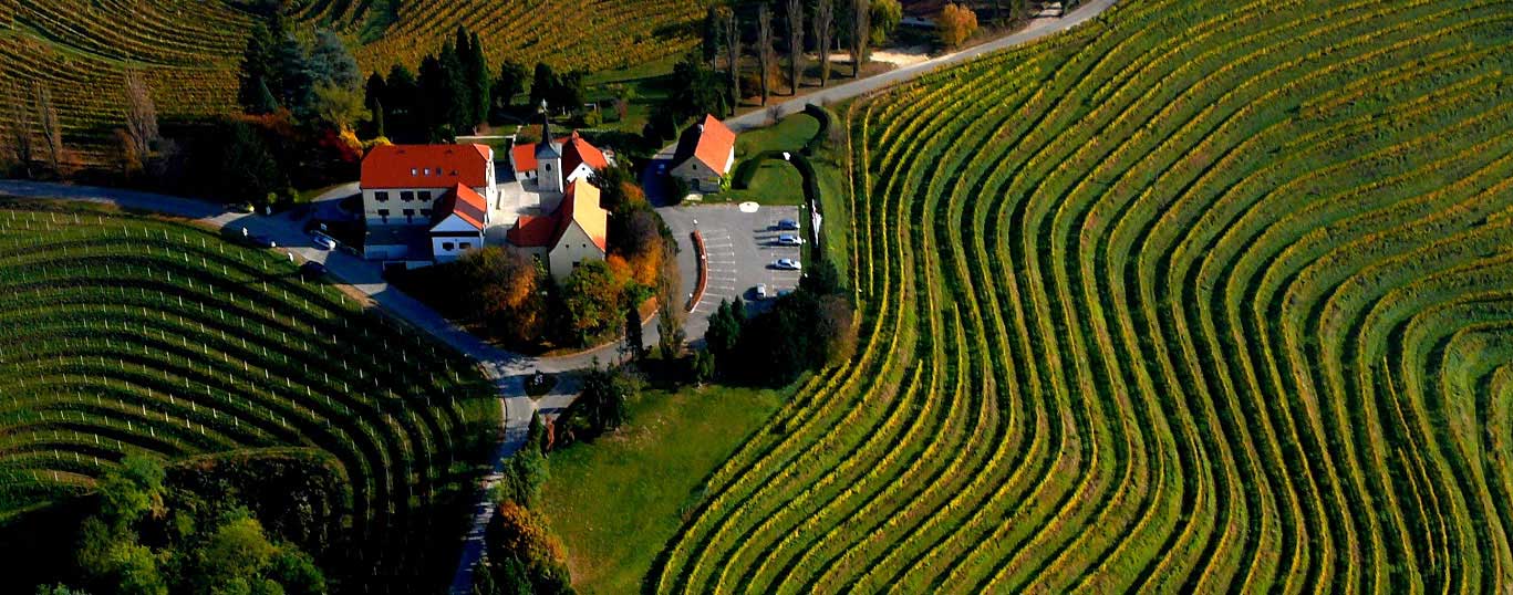 Jeruzalem in vinska cesta