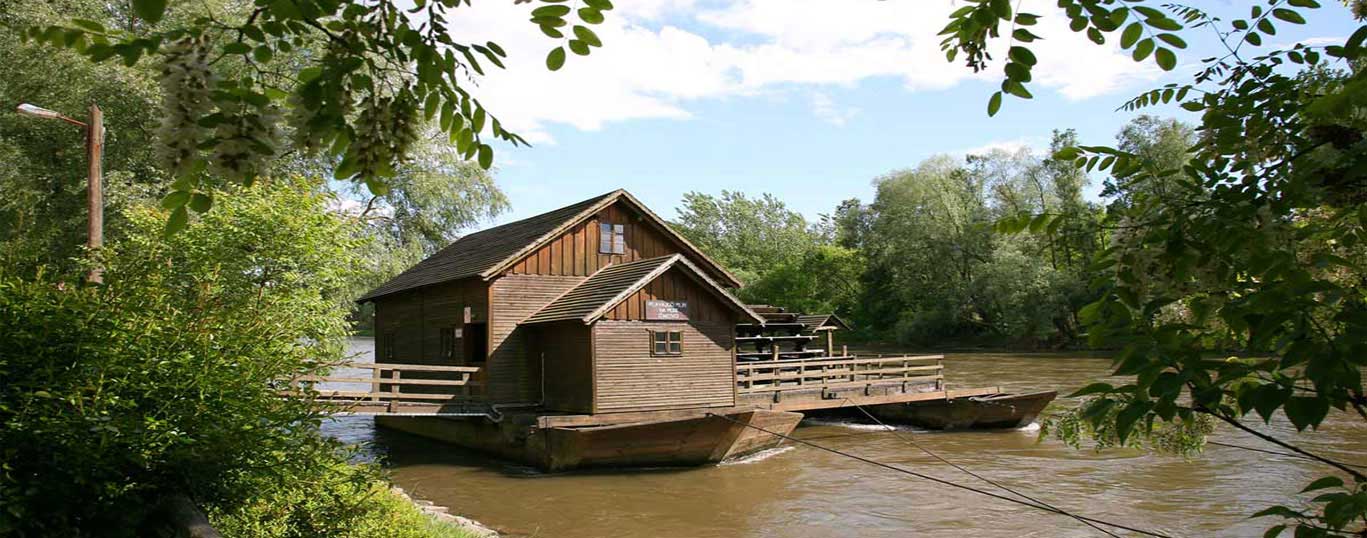 Otok+ljubezni